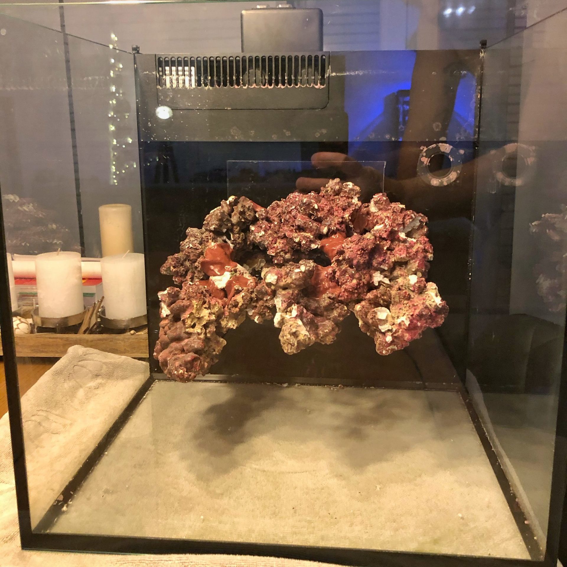 Red Sea Reefer Nano Max (75 liter / 20 gallon) – seafriendlyreef